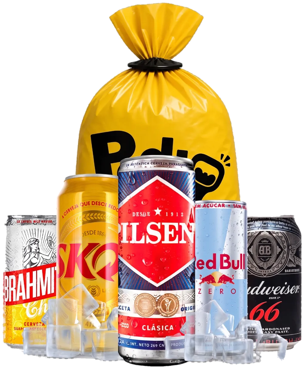 La bolsa de Pedi Yapa con lo que va adentro: Pilsen, Skol, Brahmita, Red Bull y Budweiser en hielo